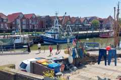 Haven-