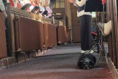 IMG-20260927-WA0041